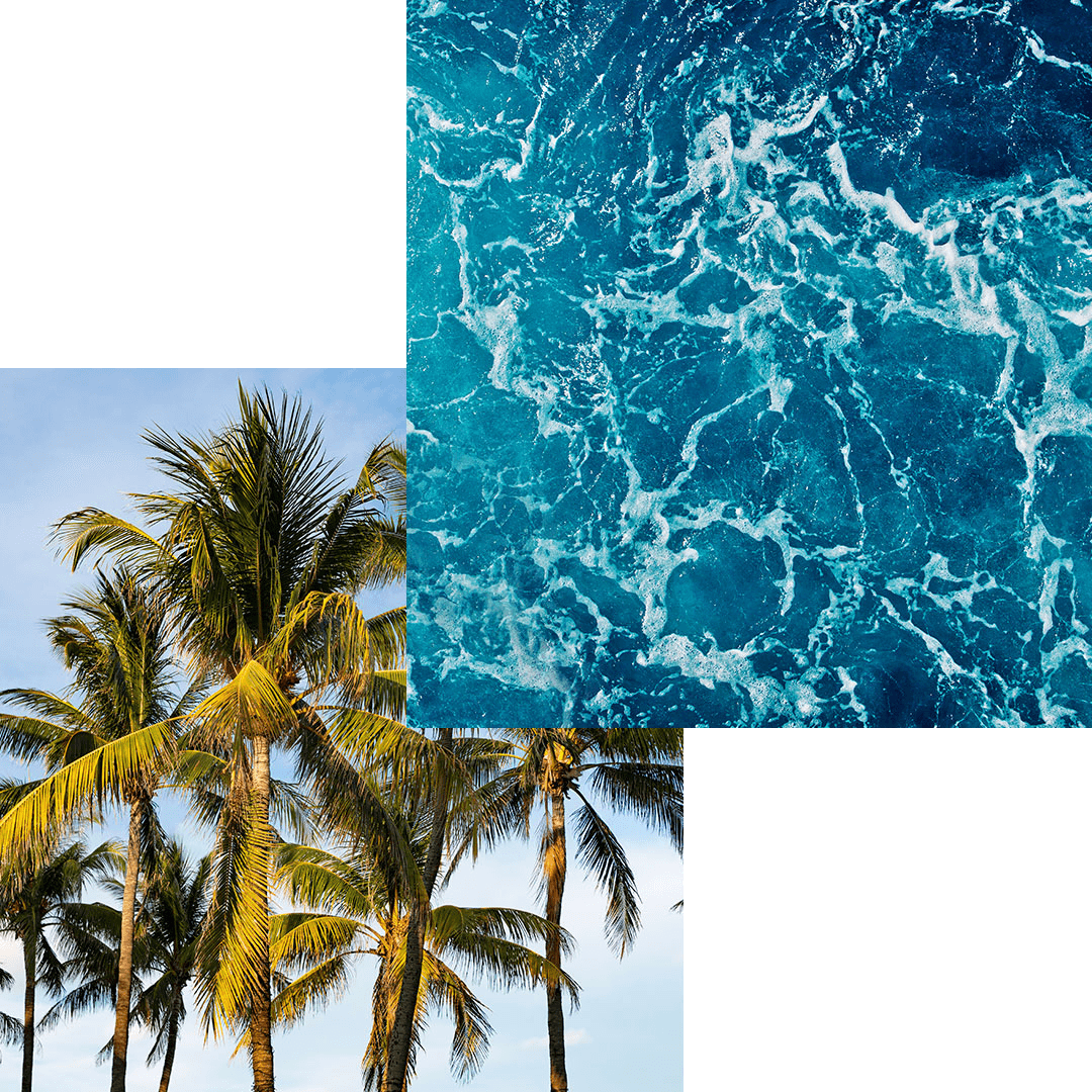 Palm trees and turquoise ocean water collage — Fort Lauderdale waterfront