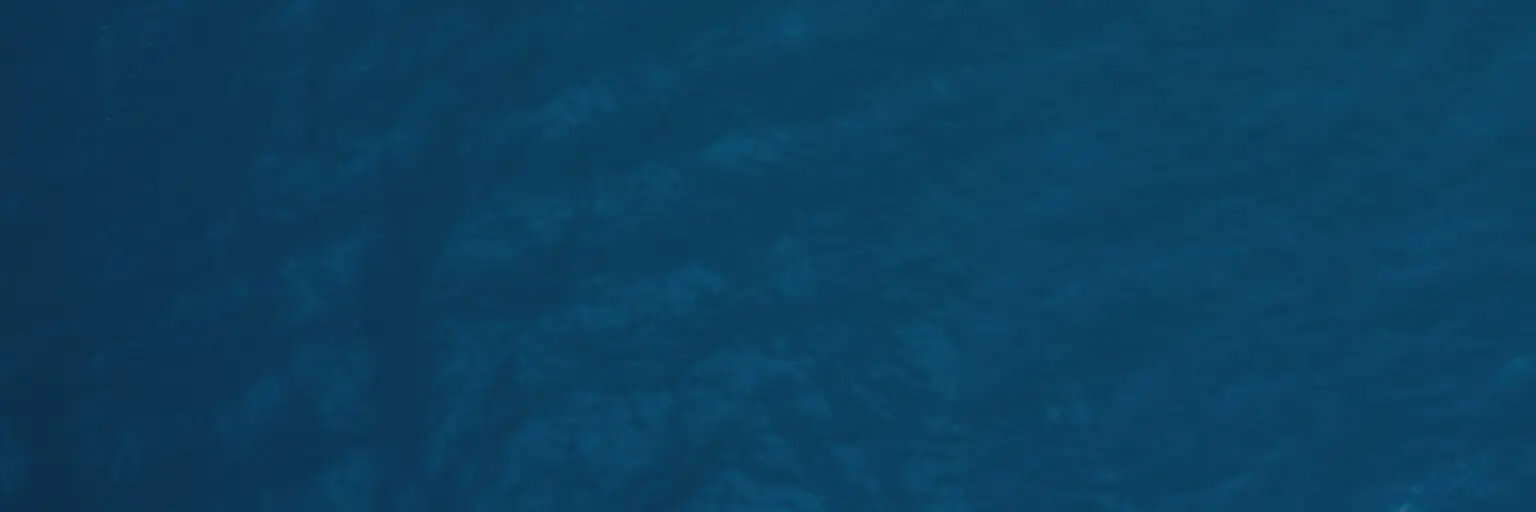 background asset